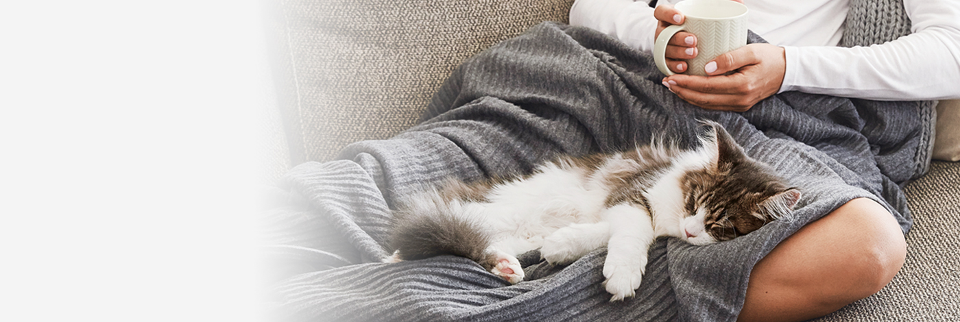 Pet Health Essentials