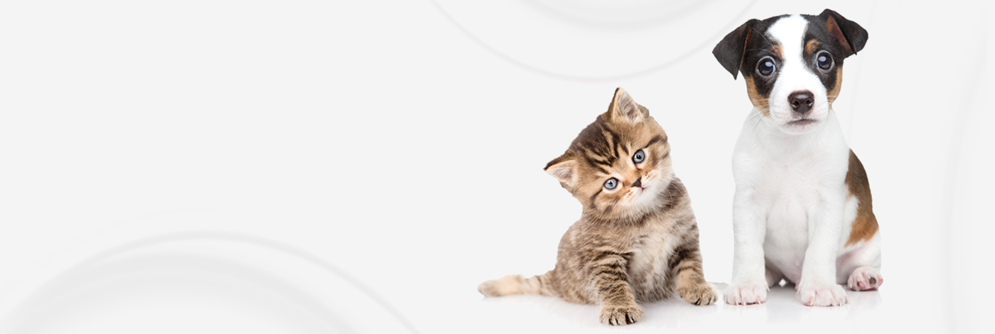 Learning_Center_header