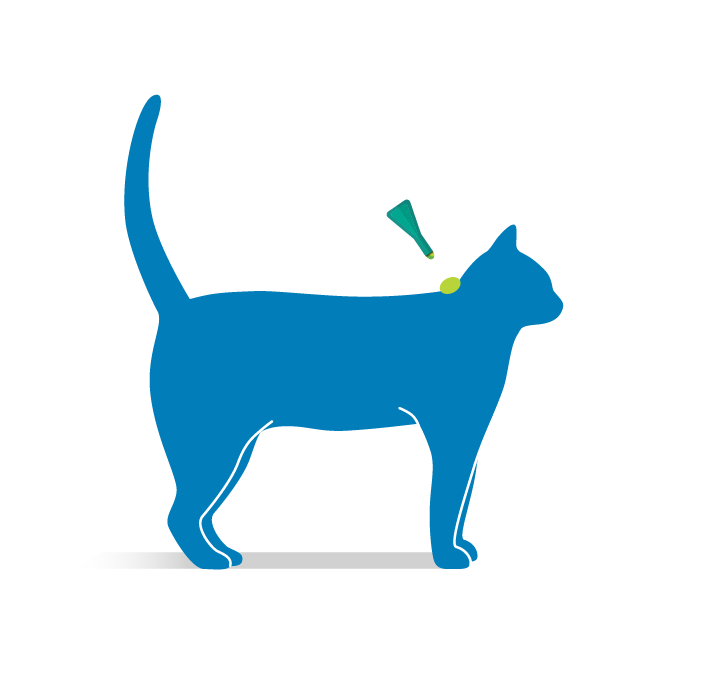 Step 3: Place the tip of the pipette on the skin